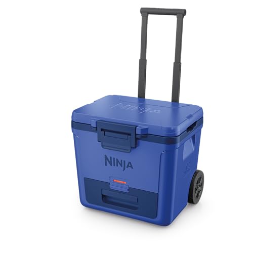 https://m.media-amazon.com/images/I/31O1vNuKGiL.jpg
