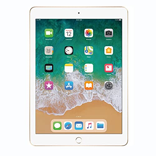https://m.media-amazon.com/images/I/417qQthNX-S.jpg