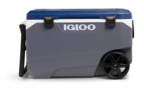 https://m.media-amazon.com/images/I/3110-VCGH0L.jpg