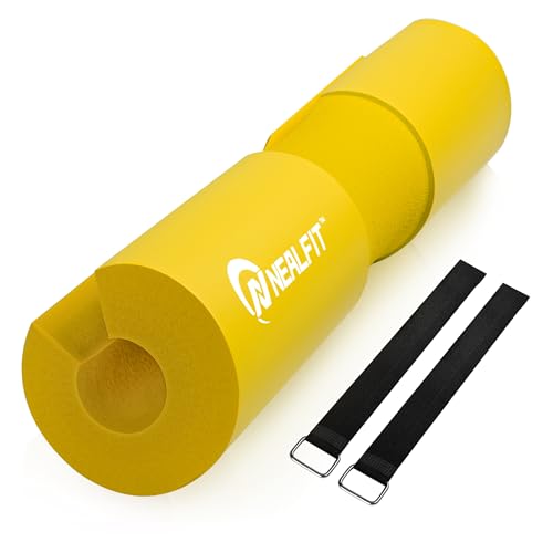 https://m.media-amazon.com/images/I/313LN5+RJuL.jpg