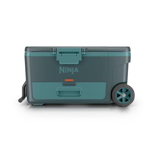https://m.media-amazon.com/images/I/313cYrpjYlL.jpg