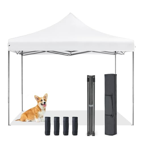 https://m.media-amazon.com/images/I/31EHKkd7wvL.jpg