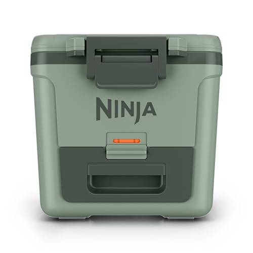 https://m.media-amazon.com/images/I/31H2-9JeAqL.jpg