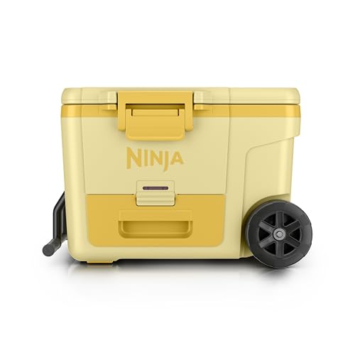 https://m.media-amazon.com/images/I/31L18X9NSQL.jpg