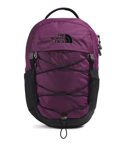 https://m.media-amazon.com/images/I/31Lqj+51B-L.jpg
