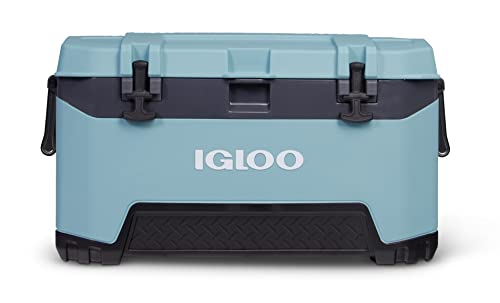 https://m.media-amazon.com/images/I/31WACJNoX6L.jpg
