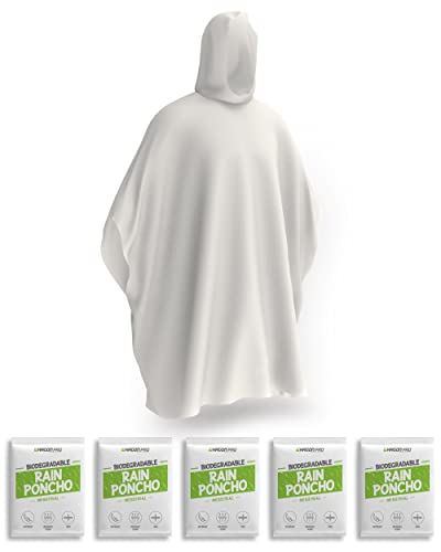 https://m.media-amazon.com/images/I/31XecfJtIZL.jpg