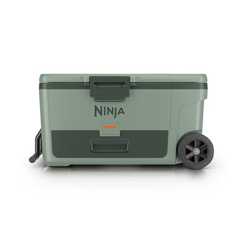 https://m.media-amazon.com/images/I/31+n4Mnx0kL.jpg