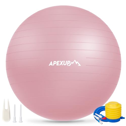 https://m.media-amazon.com/images/I/31b1E+VdY+L.jpg