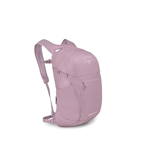 https://m.media-amazon.com/images/I/31ggzELDL2L.jpg