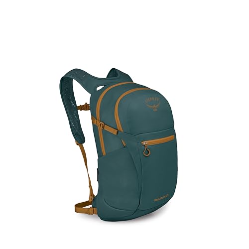 https://m.media-amazon.com/images/I/31id5+Vy08L.jpg