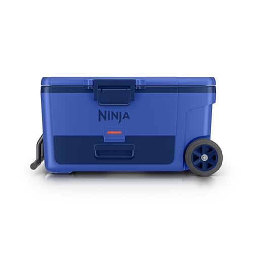 https://m.media-amazon.com/images/I/31kmNK5qc8L.jpg