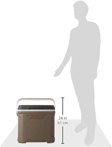 https://m.media-amazon.com/images/I/31lmJJ1VIeL._AC_.jpg