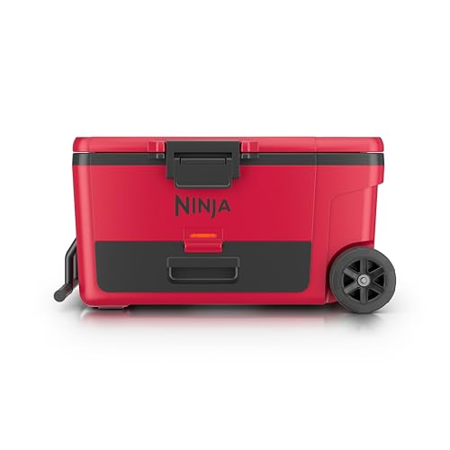 https://m.media-amazon.com/images/I/31lr4MRTpbL.jpg