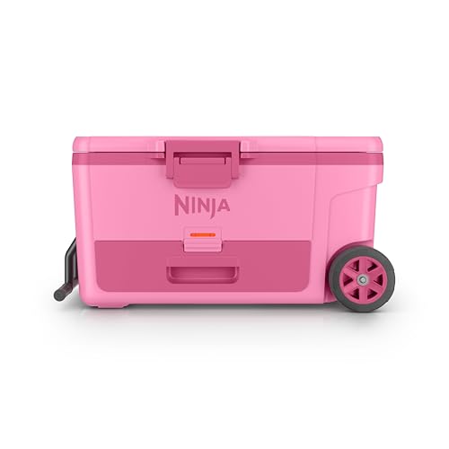 https://m.media-amazon.com/images/I/31qX1Y11nmL.jpg