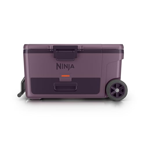https://m.media-amazon.com/images/I/31wwdMxkFDL.jpg