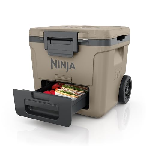 https://m.media-amazon.com/images/I/41196bby5wL.jpg