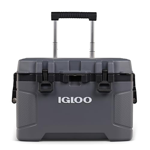 https://m.media-amazon.com/images/I/411o-DBel8L.jpg