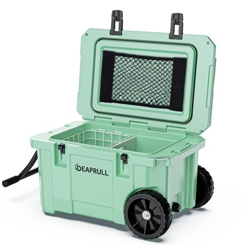 https://m.media-amazon.com/images/I/415H-PQKuRL.jpg