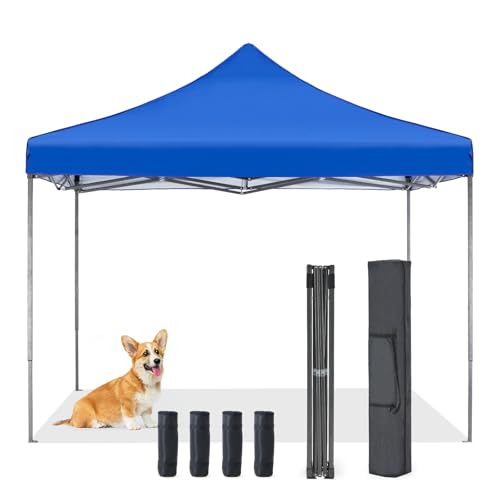 https://m.media-amazon.com/images/I/419SMM5i4TL.jpg