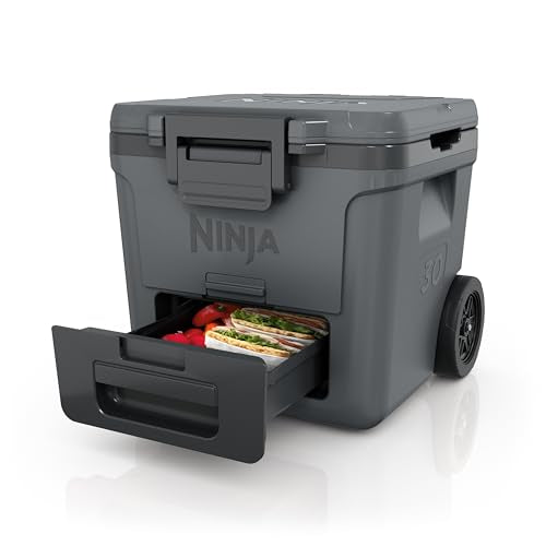 https://m.media-amazon.com/images/I/41AjaAEnGuL.jpg