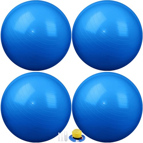 https://m.media-amazon.com/images/I/41DNUtrVO6L.jpg