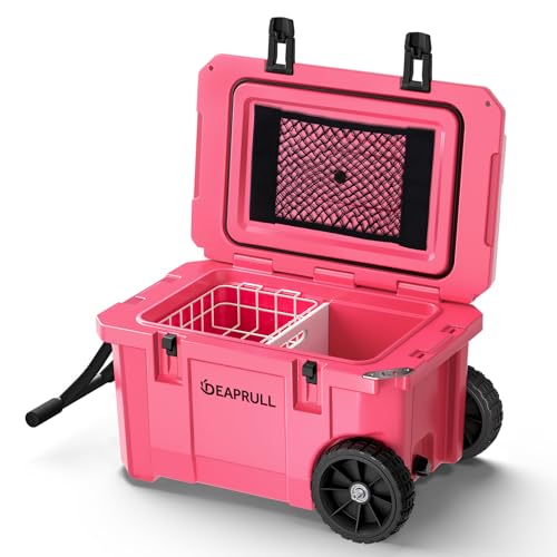 https://m.media-amazon.com/images/I/41DUqbw9mYL.jpg