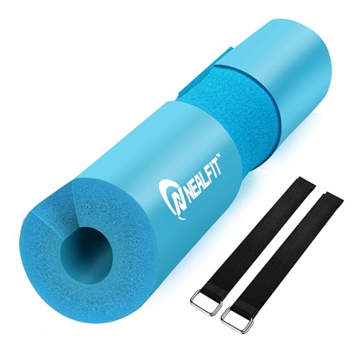 https://m.media-amazon.com/images/I/41Ev+YXct4L.jpg