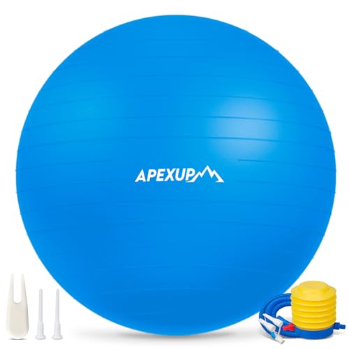 https://m.media-amazon.com/images/I/41QXpLVdbSL.jpg