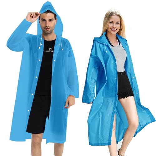 https://m.media-amazon.com/images/I/41SgWUbG5FL.jpg