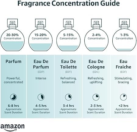 https://m.media-amazon.com/images/I/41U+BnDPMRL.jpg