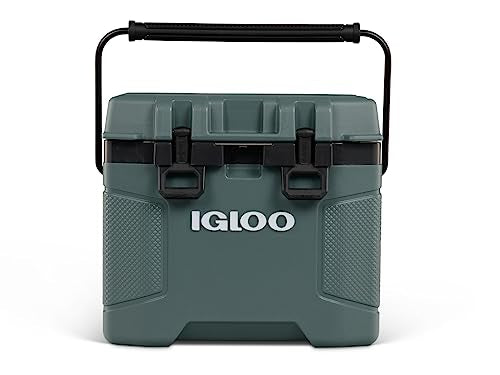 https://m.media-amazon.com/images/I/41UoSFdecPL.jpg