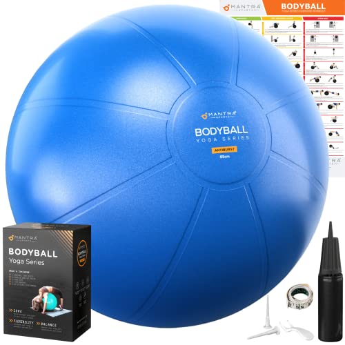 https://m.media-amazon.com/images/I/41XIySUNfUL.jpg