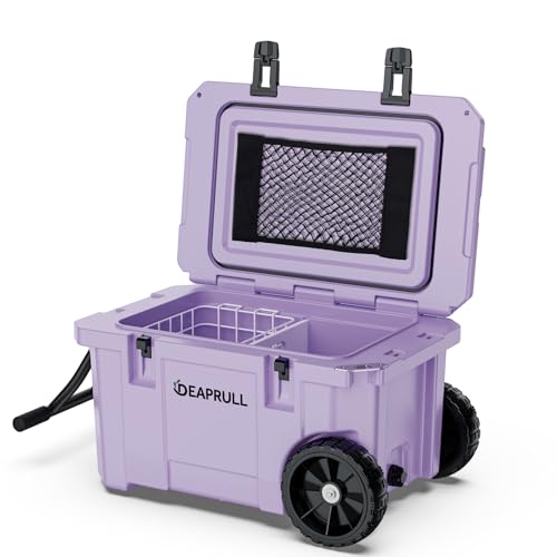 https://m.media-amazon.com/images/I/41Y758iVTKL.jpg