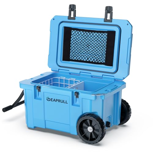 https://m.media-amazon.com/images/I/41+n4fl1klL.jpg