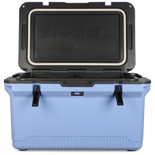 https://m.media-amazon.com/images/I/41+oCxVeKiL.jpg