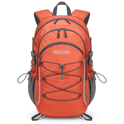 https://m.media-amazon.com/images/I/41dq48r+n1L.jpg