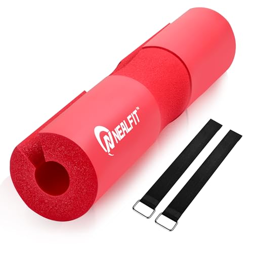 https://m.media-amazon.com/images/I/41gOjgKmoYL.jpg