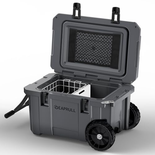 https://m.media-amazon.com/images/I/41i-gF0COiL.jpg