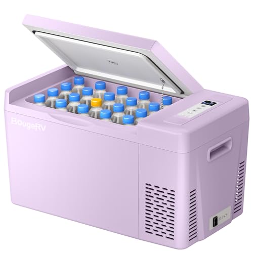https://m.media-amazon.com/images/I/41syDADptDL.jpg