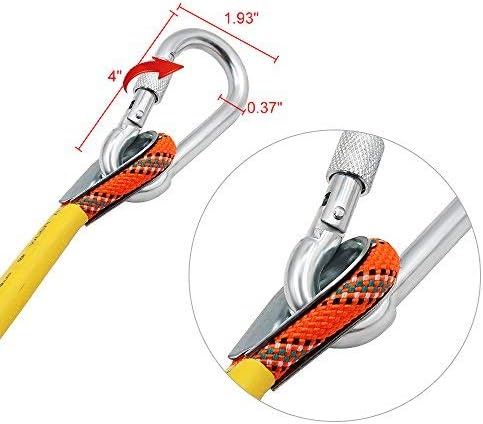 https://m.media-amazon.com/images/I/41yZW+VLPRL._AC_.jpg