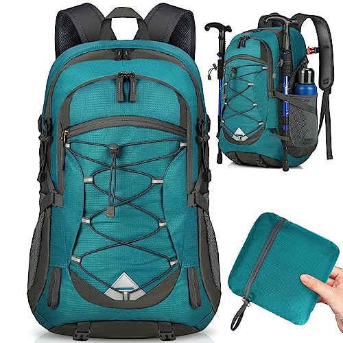 https://m.media-amazon.com/images/I/5127CuZE9JL.jpg