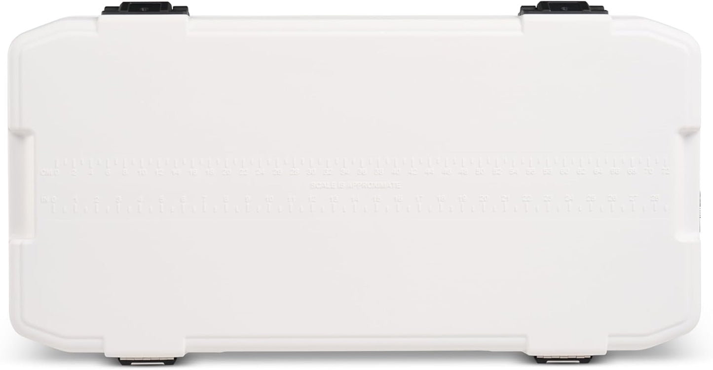 https://m.media-amazon.com/images/I/516gDzmwSCL._AC_SL1500_.jpg