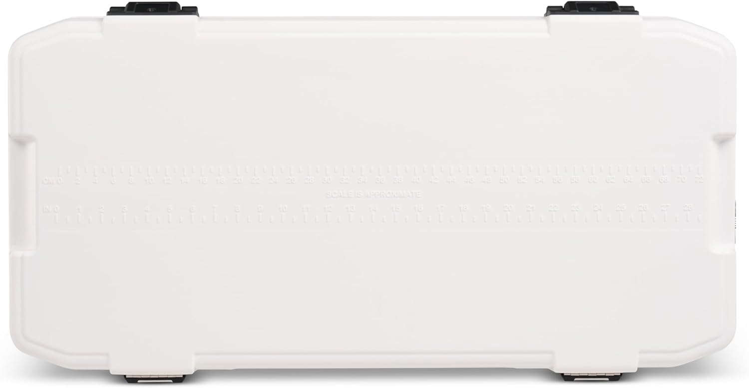 https://m.media-amazon.com/images/I/516gDzmwSCL._AC_SL1500_.jpg