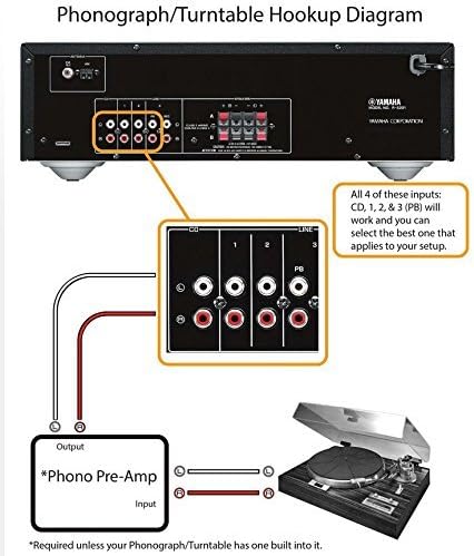 https://m.media-amazon.com/images/I/51SGMkyMpCL._AC_.jpg