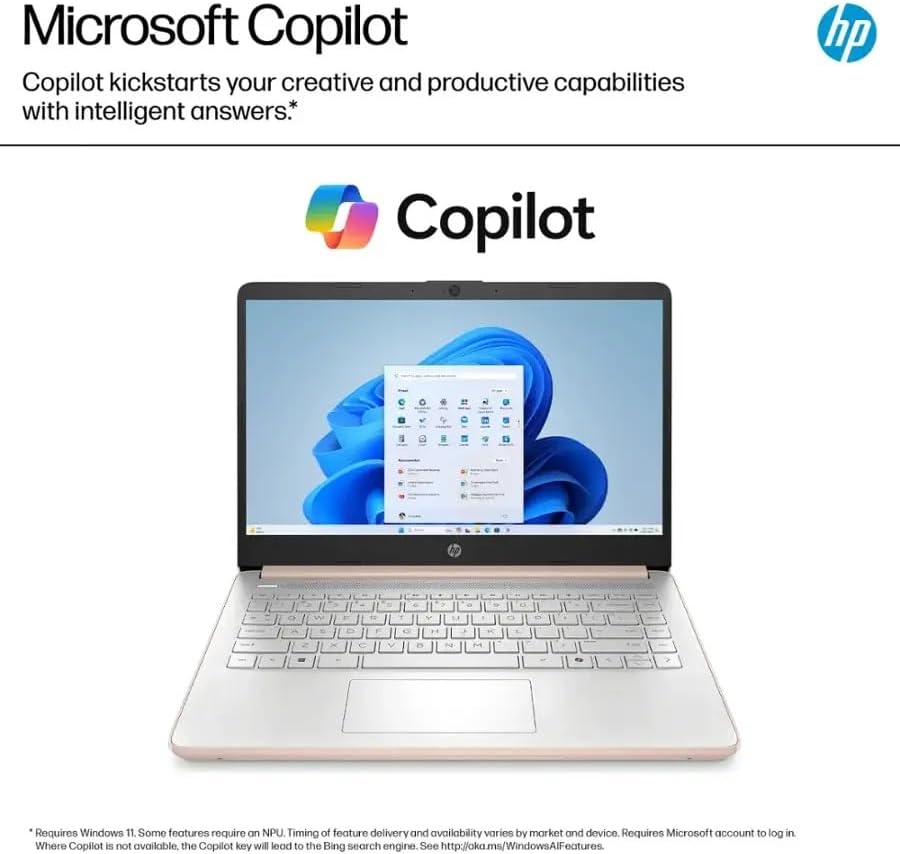 https://m.media-amazon.com/images/I/51+q6QlLcML._AC_.jpg