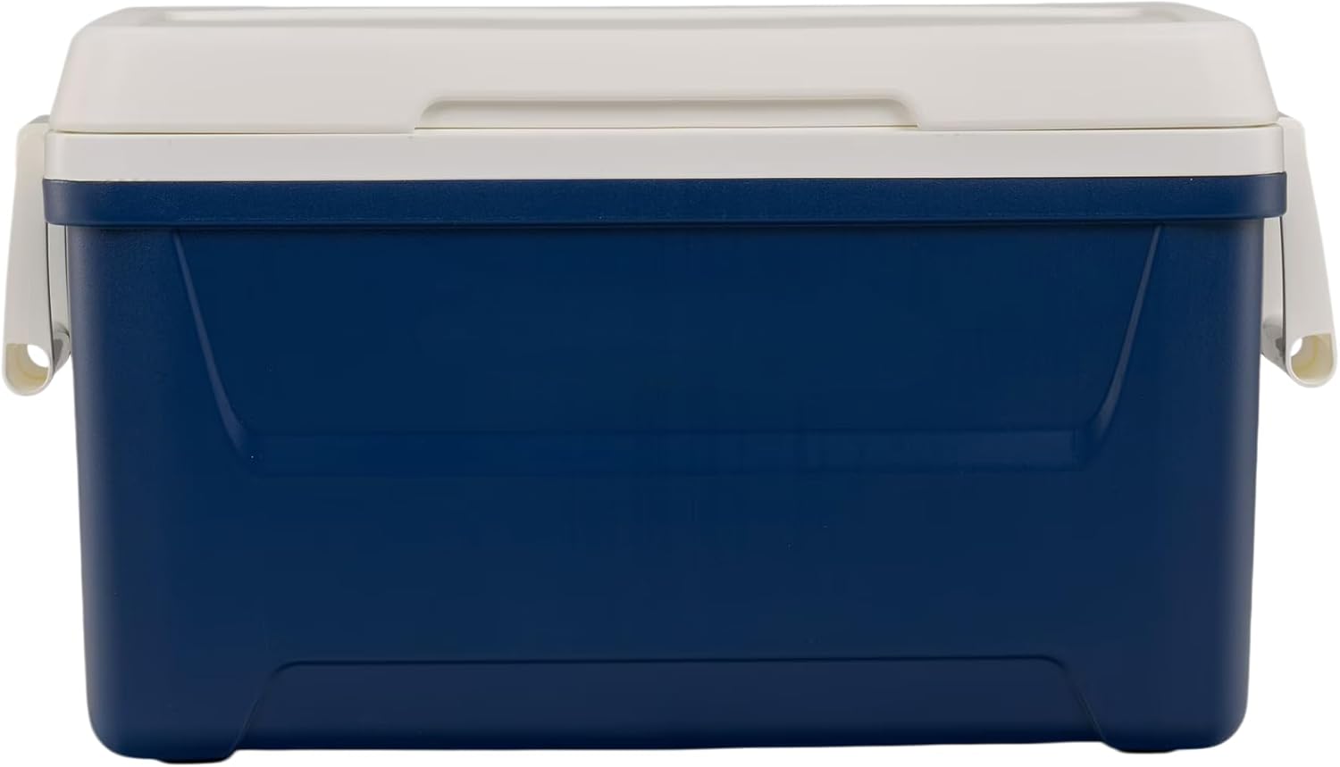 https://m.media-amazon.com/images/I/51d0qC-X2-L._AC_SL1500_.jpg