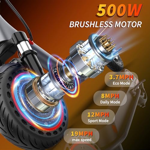 Roinside Electric Scooter - 8.5"/10''/14'' Solid Tires, 350W/500W Moto
