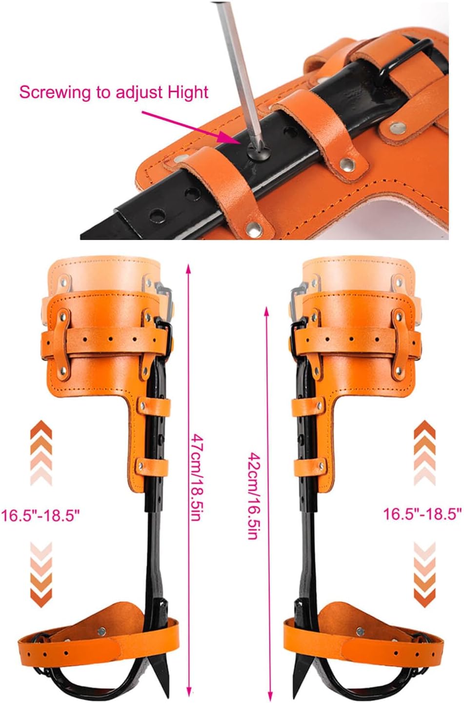 https://m.media-amazon.com/images/I/610Eu3LBkZL._AC_SL1500_.jpg
