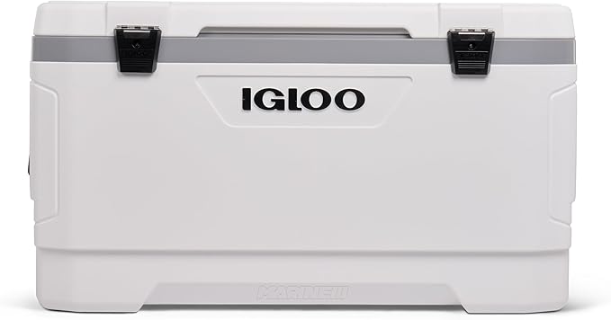 https://m.media-amazon.com/images/I/611cIq9ylaL._AC_SX679_.jpg